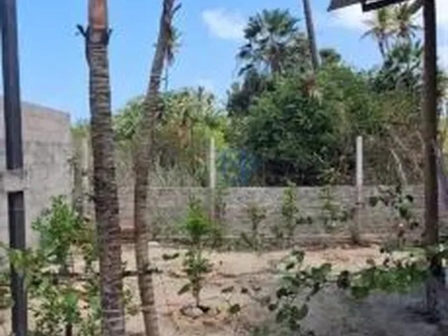 Imagem 12: OPORTUNIDADE CASA EM SÃO MIGUEL DO GOSTOSO