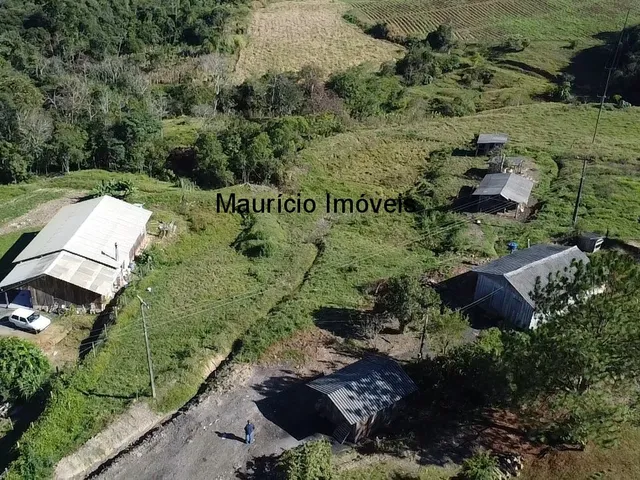 Imagem 5: Sitio na Localidade Alto Sumidor, em Pouso Redondo, com 3,1 Hectares, com duas casas, 2