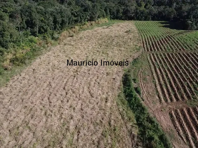 Imagem 2: Sitio na Localidade Alto Sumidor, em Pouso Redondo, com 3,1 Hectares, com duas casas, 2