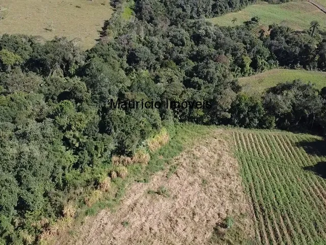 Imagem 16: Sitio na Localidade Alto Sumidor, em Pouso Redondo, com 3,1 Hectares, com duas casas, 2
