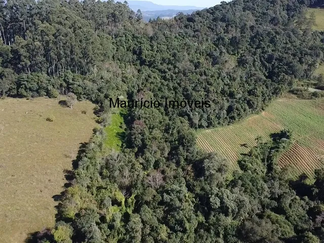 Imagem 6: Sitio na Localidade Alto Sumidor, em Pouso Redondo, com 3,1 Hectares, com duas casas, 2