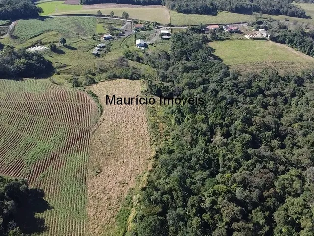 Imagem 12: Sitio na Localidade Alto Sumidor, em Pouso Redondo, com 3,1 Hectares, com duas casas, 2