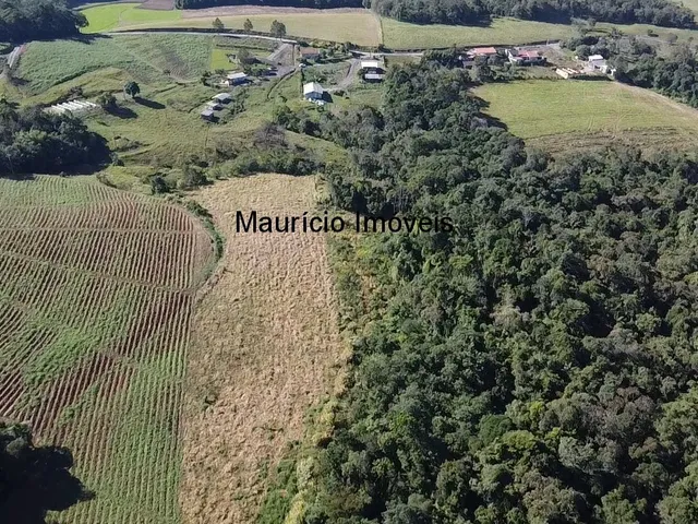 Imagem 7: Sitio na Localidade Alto Sumidor, em Pouso Redondo, com 3,1 Hectares, com duas casas, 2