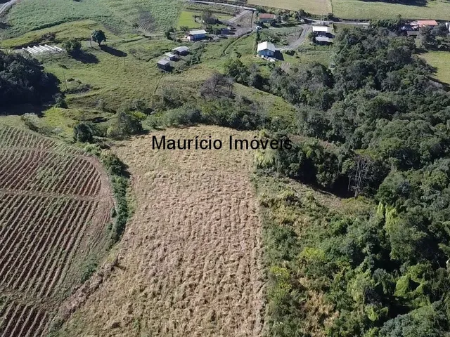 Imagem 11: Sitio na Localidade Alto Sumidor, em Pouso Redondo, com 3,1 Hectares, com duas casas, 2