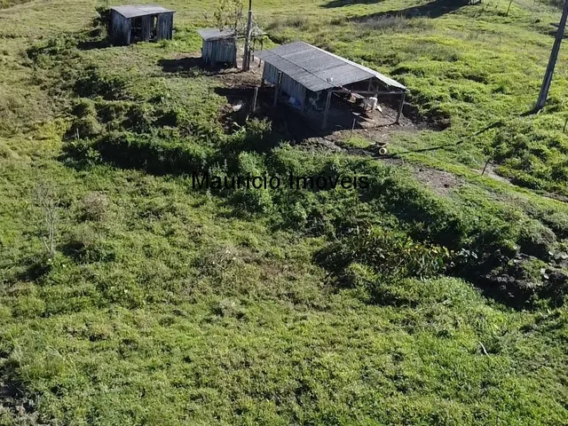 Imagem 15: Sitio na Localidade Alto Sumidor, em Pouso Redondo, com 3,1 Hectares, com duas casas, 2