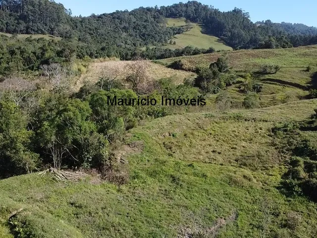Imagem 10: Sitio na Localidade Alto Sumidor, em Pouso Redondo, com 3,1 Hectares, com duas casas, 2