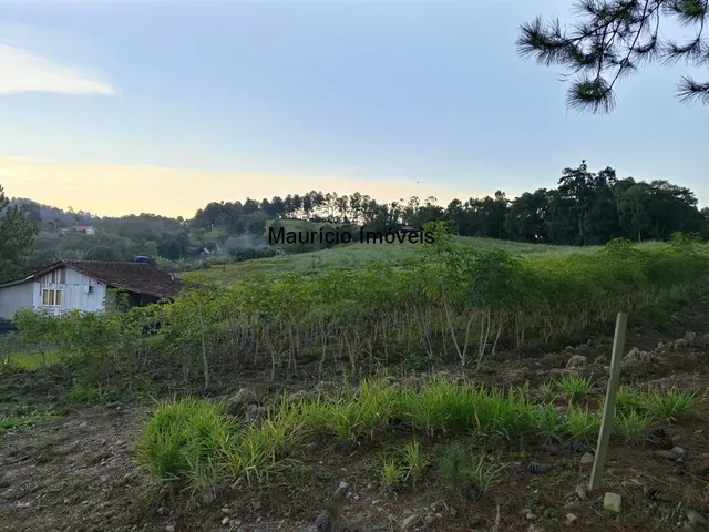 Imagem 8: Sitio na Localidade Alto Sumidor, em Pouso Redondo, com 3,1 Hectares, com duas casas, 2