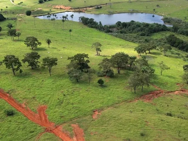 Imagem 13: Fazendinha de 20 mil m2 em Betim
