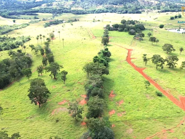 Imagem 4: Fazendinha de 20 mil m2 em Betim