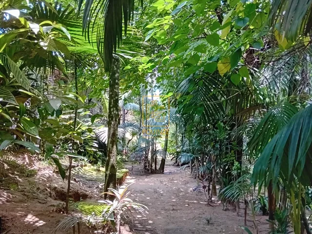 Imagem 14: Casa com sala comercial e amplo terreno no bairro Testo Rega em Pomerode