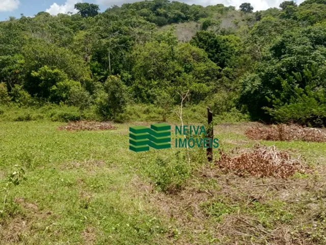 Imagem 3: Venda de Excelente Terreno em Acupe - Santo Amaro