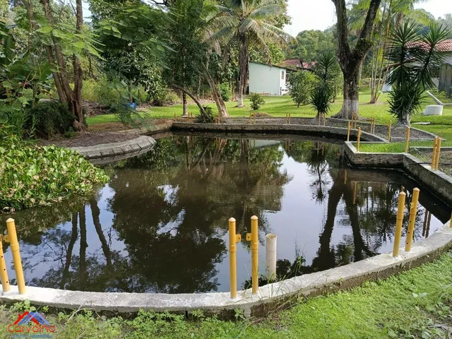 Imagem 6: SITIO RURAL em Itaborai - RJ, Sambaetiba