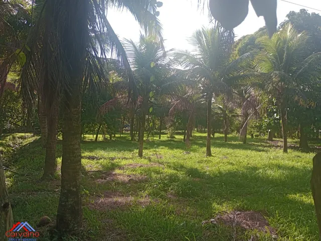 Imagem: SITIO RURAL em CACHOEIRAS DE MACACU - RJ
