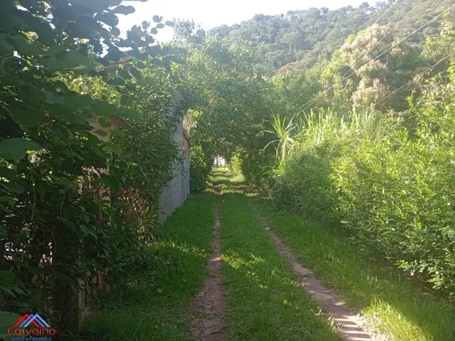 Imagem 2: SITIO RURAL em CACHOEIRAS DE MACACU - RJ, Gleba Papucaia