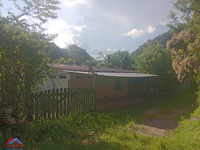 Imagem 12: SITIO RURAL em CACHOEIRAS DE MACACU - RJ, Gleba Papucaia