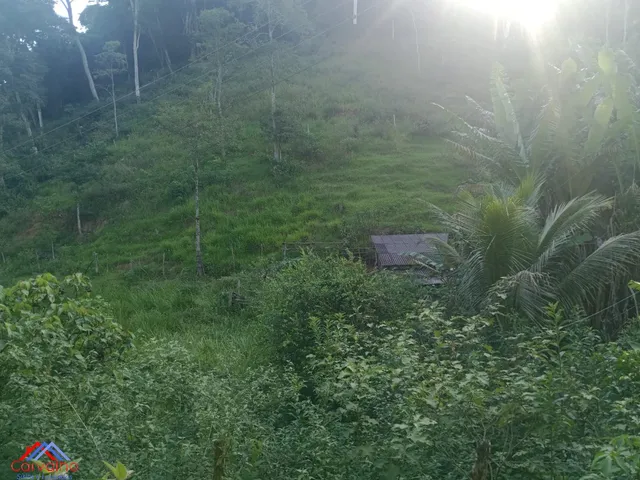 Imagem 9: SITIO RURAL em CACHOEIRAS DE MACACU - RJ, Gleba Papucaia
