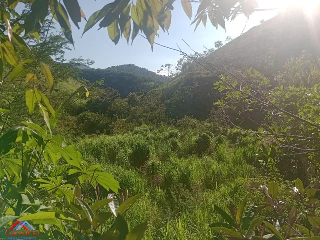 Imagem 5: SITIO RURAL em CACHOEIRAS DE MACACU - RJ, Gleba Papucaia