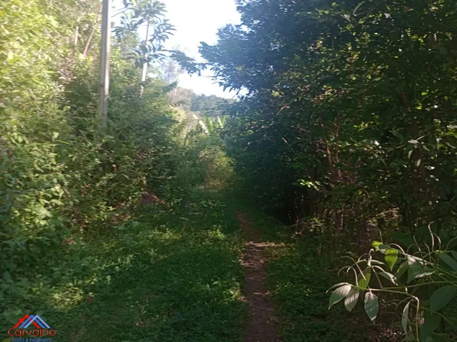 Imagem 7: SITIO RURAL em CACHOEIRAS DE MACACU - RJ, Gleba Papucaia
