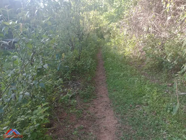 Imagem 8: SITIO RURAL em CACHOEIRAS DE MACACU - RJ, Gleba Papucaia