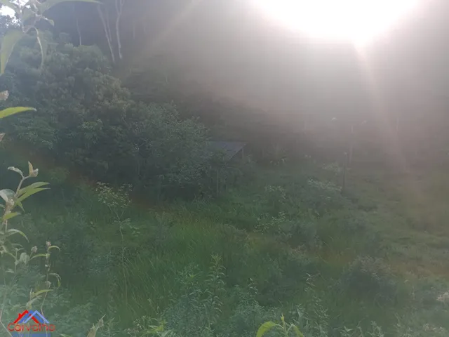 Imagem 3: SITIO RURAL em CACHOEIRAS DE MACACU - RJ, Gleba Papucaia