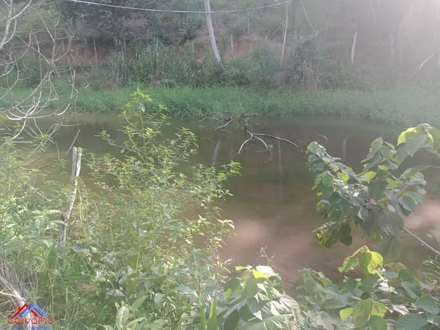Imagem 11: SITIO RURAL em CACHOEIRAS DE MACACU - RJ, Gleba Papucaia