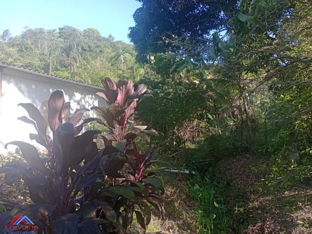 Imagem 13: SITIO RURAL em CACHOEIRAS DE MACACU - RJ, Gleba Papucaia
