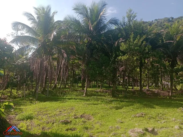 Imagem 16: SITIO RURAL em CACHOEIRAS DE MACACU - RJ, Gleba Papucaia