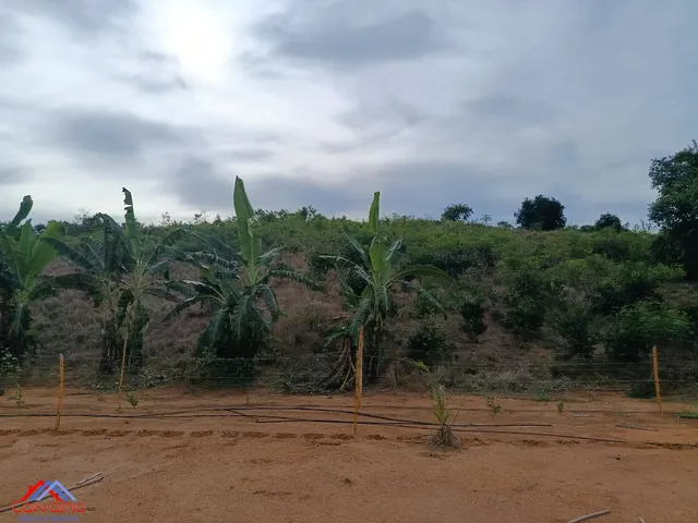 Imagem 6: Sítio em Construção