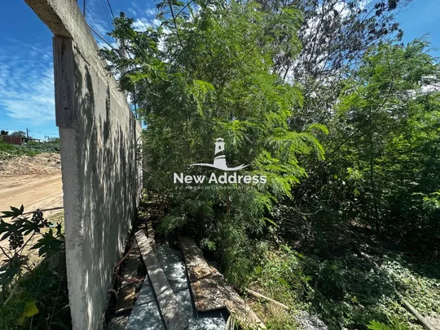 Imagem 3: Pronto para construir: lote de 200m², murado e com escritura, à venda em Pontal das