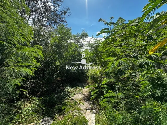 Imagem 4: Pronto para construir: lote de 200m², murado e com escritura, à venda em Pontal das