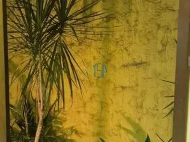 Imagem 6: OPORTUNIDADE CASA A VENDA NOVA PARNAMIRIM