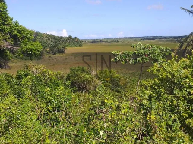 Imagem: GRANJA A VENDA VALENTINA C/45 HECTARES Vale