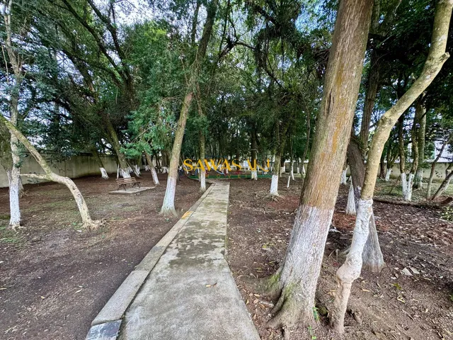 Imagem 16: Apartamento à venda no bairro Ouro Fino - São José dos Pinhais/PR