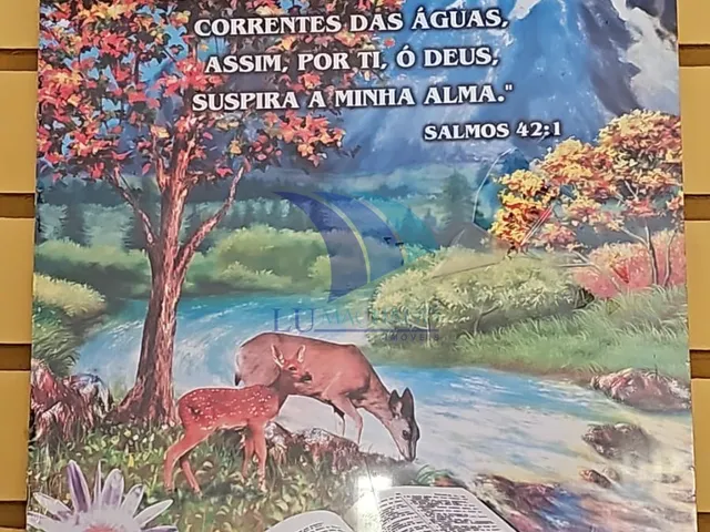 Imagem 3: COD 1605 - LOCAÇÃO FIXA 1 QUARTO COM ESTACIONAMENTO ,PORTINHO