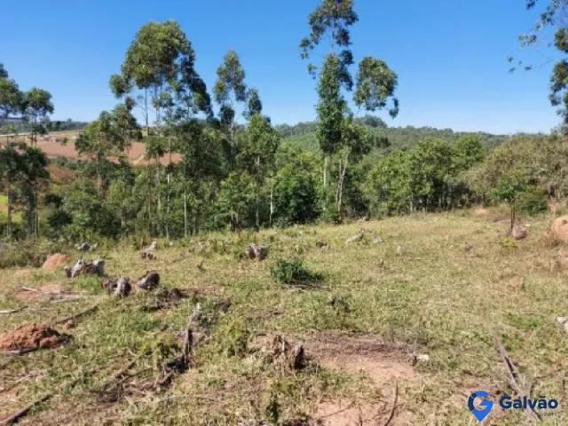 Imagem: Sitio à venda no Bairro Pitangal em Jarinu