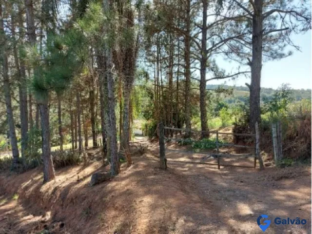Imagem: Sitio à venda no Bairro Pitangal em Jarinu