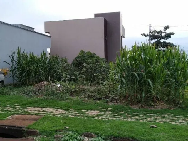 Imagem 10: CASA RESIDENCIAL em PALOTINA - PR, Por do Sol
