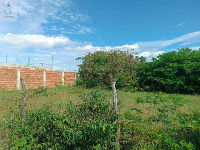 Imagem 8: TERRENO RESIDENCIAL/COMERCIAL em FORTIM - CE, CENTRO