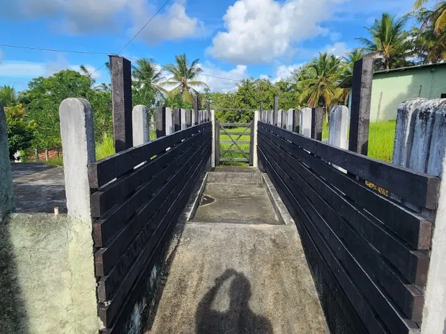 Imagem 4: Fazenda Rural para Venda, Centro, Conde, 3 Suítes, 1 Sala, 4 Banheiros, 6 Vagas,140.000M² Área Total