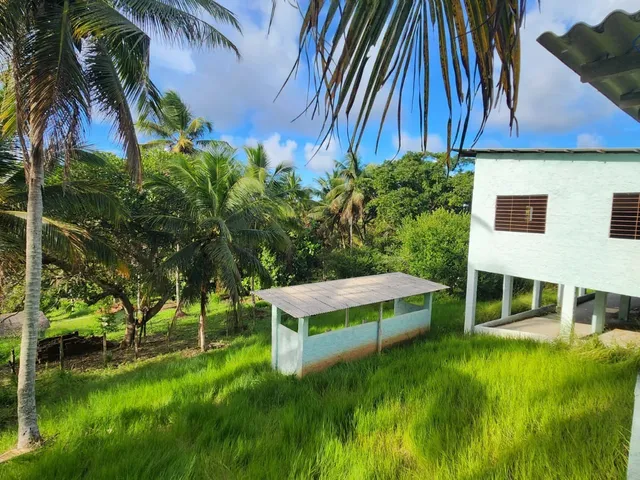 Imagem 11: Fazenda Rural para Venda, Centro, Conde, 3 Suítes, 1 Sala, 4 Banheiros, 6 Vagas,140.000M² Área Total