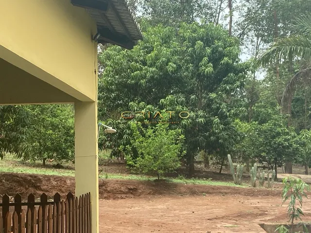 Imagem 5: Fazenda 3 dormitórios à venda Área Rural de Pirenópolis Pirenópolis/GO