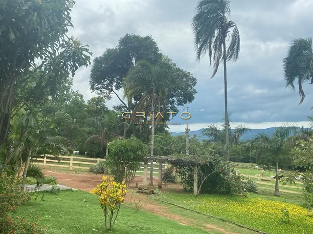 Imagem 8: Fazenda 3 dormitórios à venda Área Rural de Pirenópolis Pirenópolis/GO