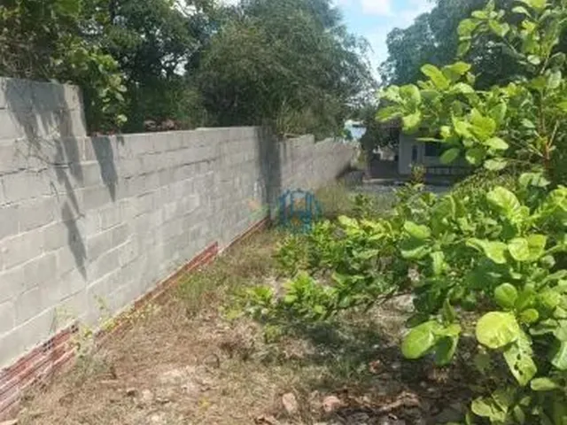 Imagem 9: OPORTUNIDADE CASA NA LAGOA DE CARCARÁ NÍSIA FLORESTA RN / CASA BEIRA LAGOA DO CARCARÁ