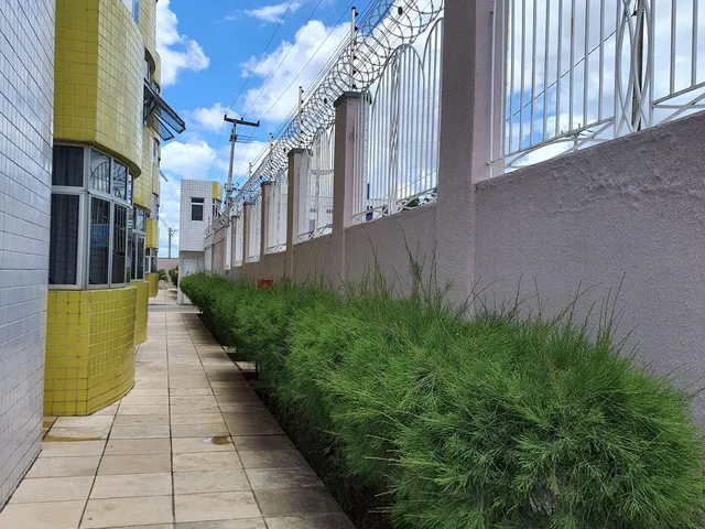 Imagem: Apartamento Padrão 3 Quartos