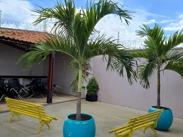 Imagem 10: Apartamento Padrão 3 Quartos