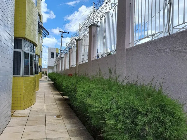 Imagem 9: Apartamento Padrão 3 Quartos