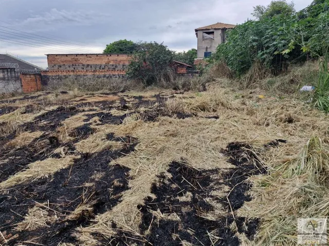 Imagem 10: Lote para Venda em Aparecida de Goiânia, PARQUE DAS NAÇÕES