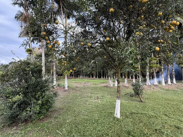 Imagem 11: Chácara em São João Acima, Garuva/SC