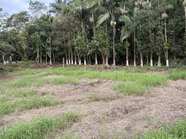 Imagem 5: Chácara em São João Acima, Garuva/SC