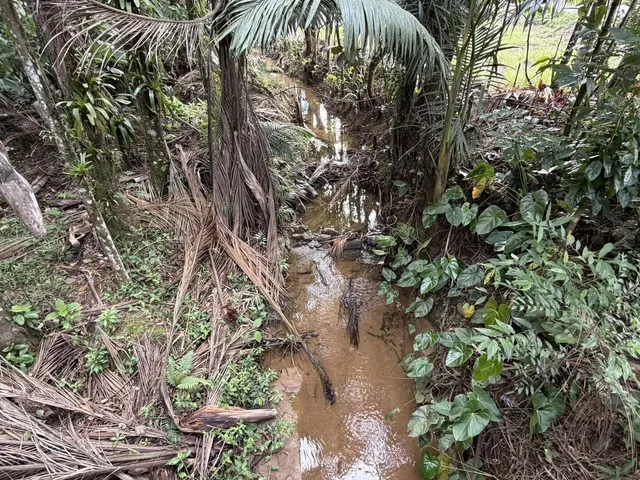 Imagem 7: Chácara em São João Acima, Garuva/SC